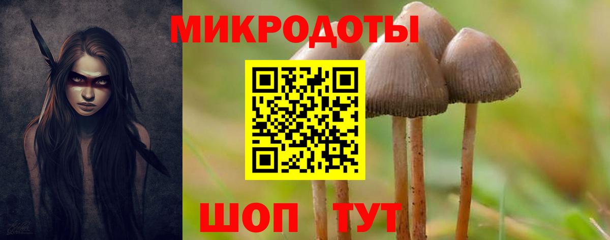 Тихорецк  Псилоцибиновые грибы Psilocybine cubensis  Вход с VPN 